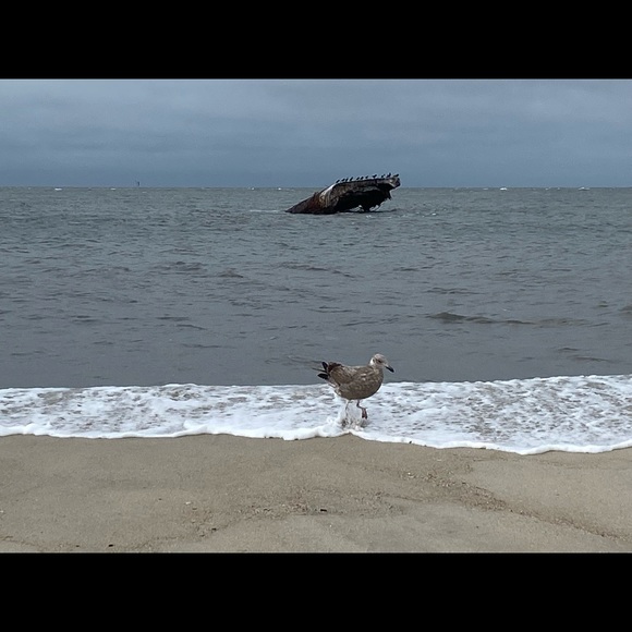 Meet your Posher, Karen - Picture 1 of 1